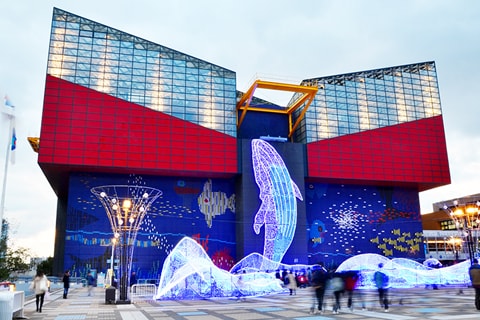 Kaiyukan Aquarium